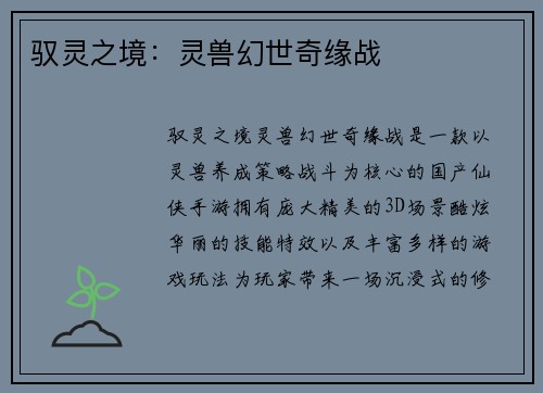 驭灵之境：灵兽幻世奇缘战